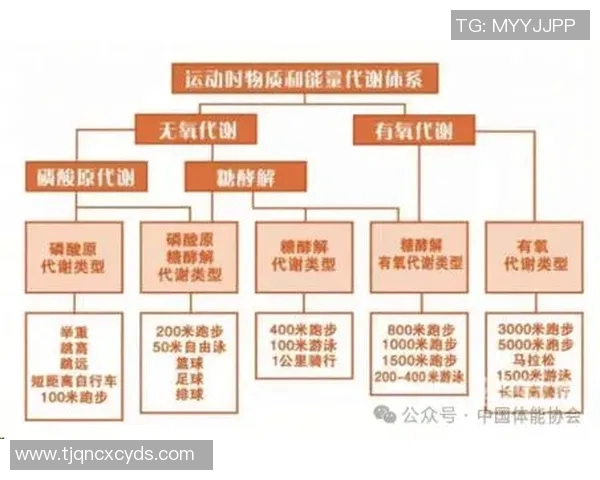 无氧运动对身体健康的影响及其在健身中的重要作用解析