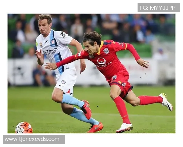 悉尼FC对阵阿德莱德精彩直播全程回顾与赛后分析