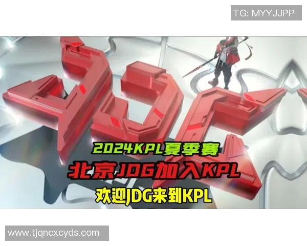 王者荣耀巨献:深入解析JDG战队的实力与战术魅力