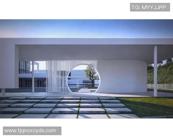 现代建筑装饰艺术的发展趋势与创新设计理念探讨