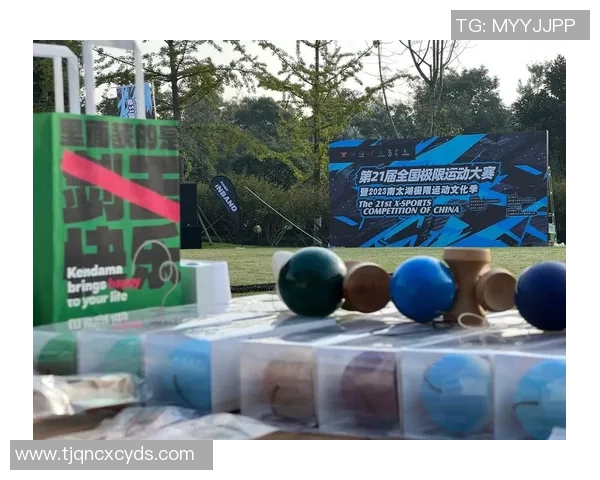 武汉极限运动队的意识探讨与极限运动文化的融合与发展